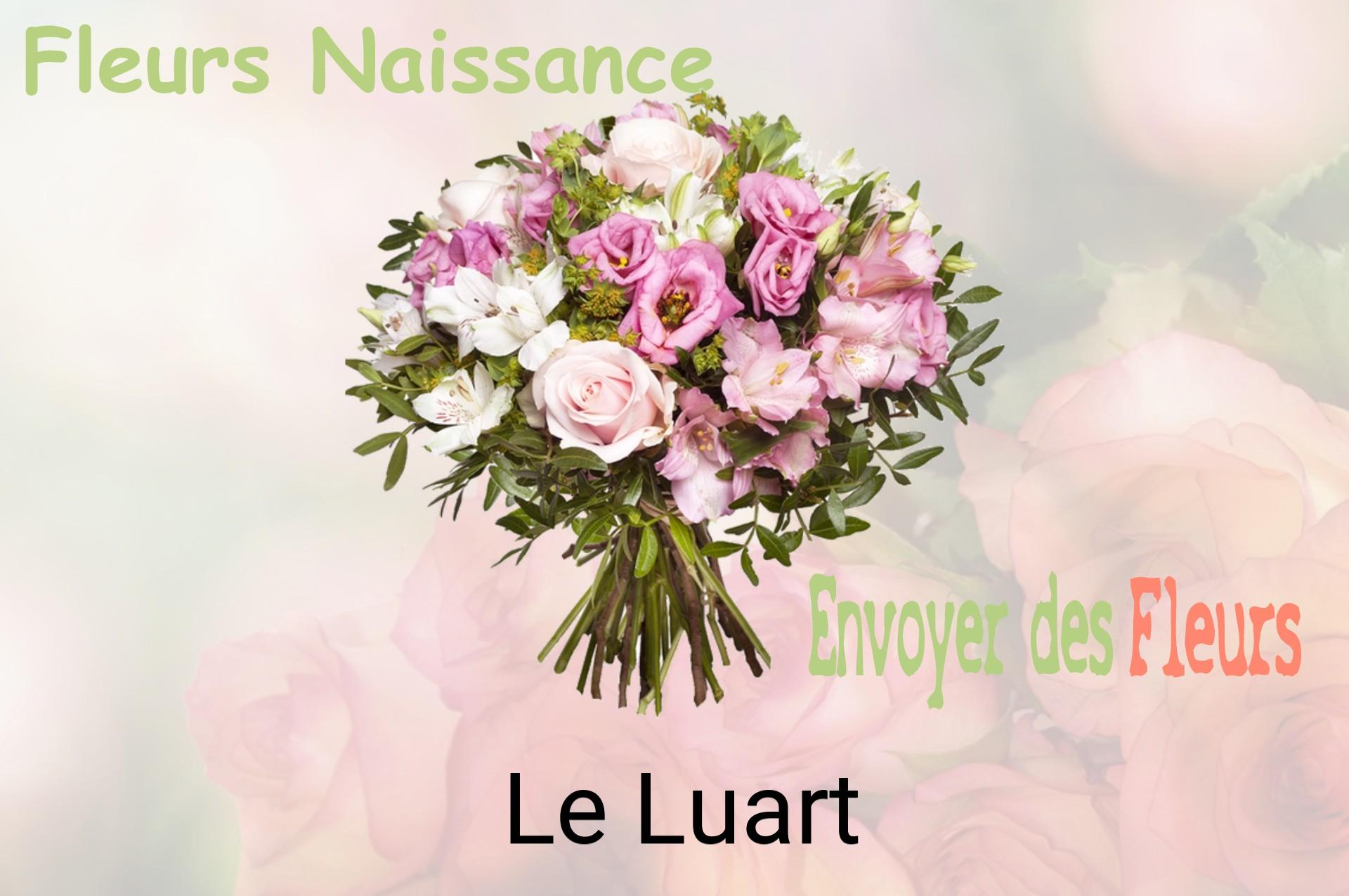 Bouquet de fleurs de naissance livré à Le Luart